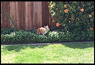 Ethan loves to play ball. 